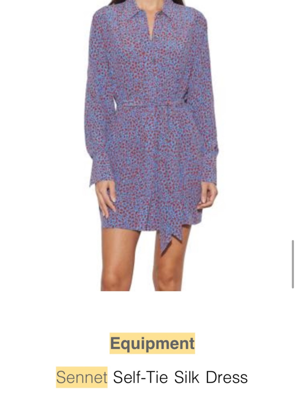 Equipment Blue Shirt Dress with Red Floral Print